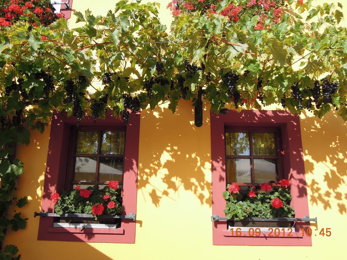 Landgasthof May Willanzheim Kültér fotó
